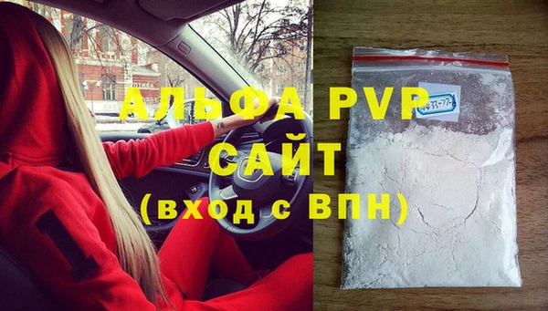 дживик Пересвет