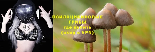дживик Пересвет