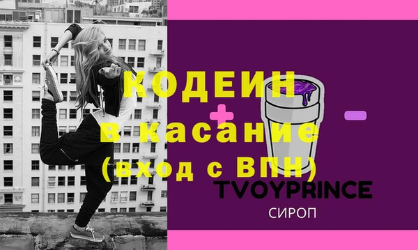 дживик Пересвет
