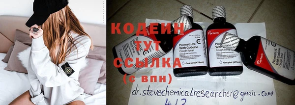 дживик Пересвет