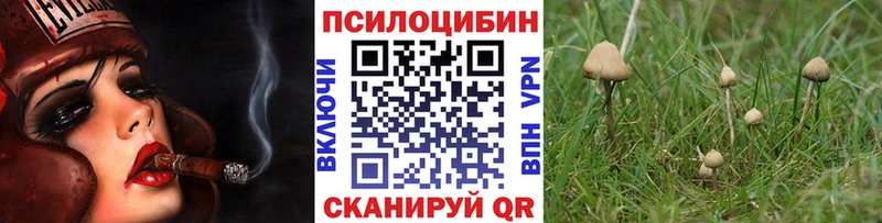 купить сайты Курильск kraken онион Псилоцибиновые грибы мицелий